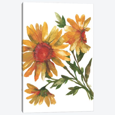 Provence Sunflowers Canvas Print #KPA193} by Kim Parker Art Print