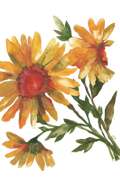 Modern Farmhouse Décor: Provence Sunflowers by Kim Parker