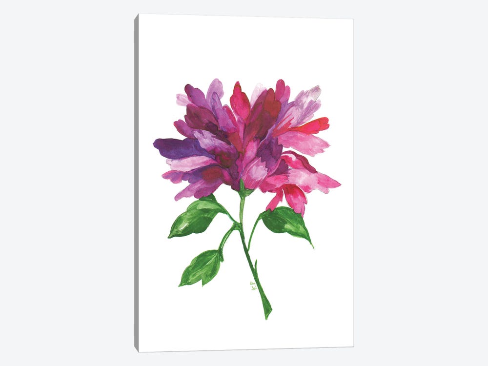 Violet Magnolia by Kim Parker 1-piece Canvas Print