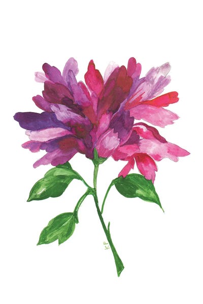 Magnolias: Violet Magnolia by Kim Parker