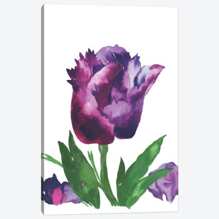 Purple Tulip Canvas Print #KPA196} by Kim Parker Canvas Wall Art