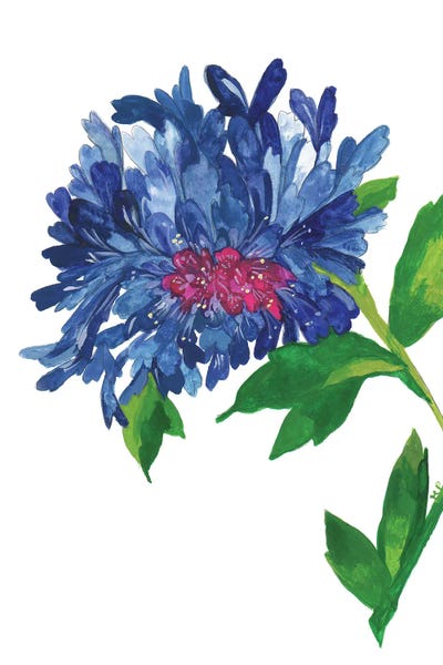 Zinnias: Blue Zinnia by Kim Parker