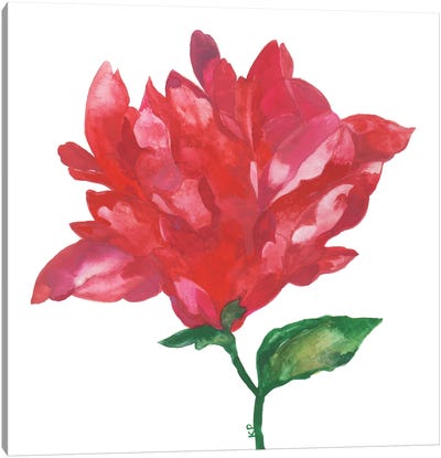 Red Magnolia Canvas Art Print - Magnolia Art