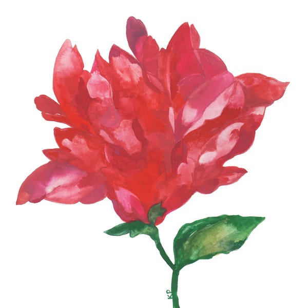Magnolias: Red Magnolia by Kim Parker