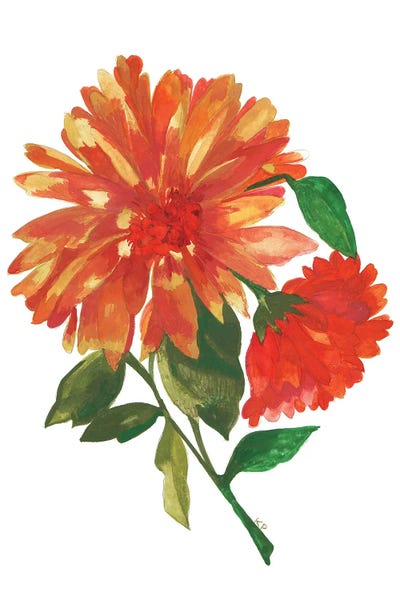 Dahlias: Wild Golden Dahlia by Kim Parker