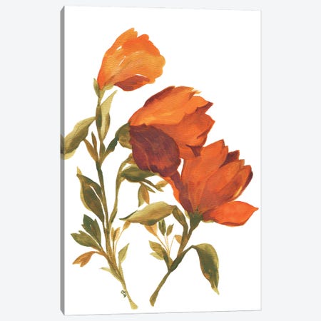 Amber Tulips Canvas Print #KPA205} by Kim Parker Canvas Wall Art