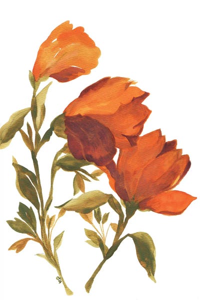 Tulips: Amber Tulips by Kim Parker