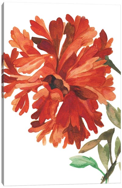Wild Red Dahlia Canvas Art Print - Dahlia Art