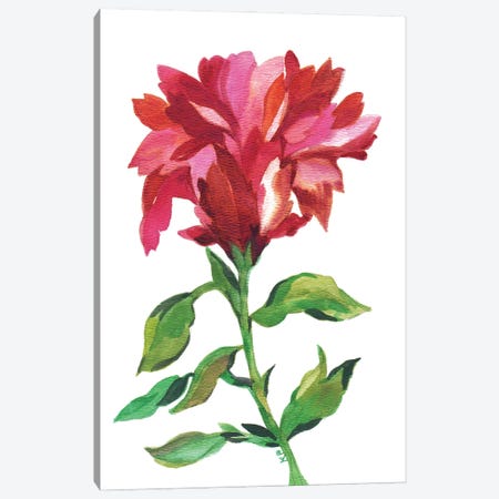 Cranberry Iris Canvas Print #KPA209} by Kim Parker Canvas Art Print