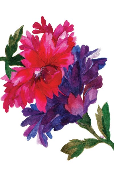 Zinnias: Love Zinnia by Kim Parker