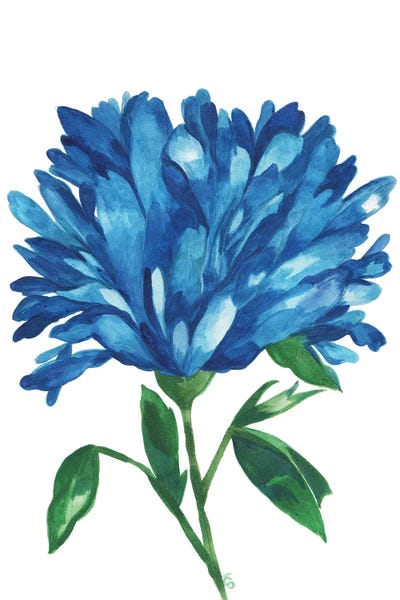 Blue Magnolia by Kim Parker art print