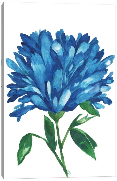 Blue Magnolia Canvas Art Print - Magnolia Art