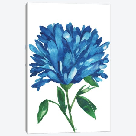 Blue Magnolia Canvas Print #KPA216} by Kim Parker Canvas Art Print