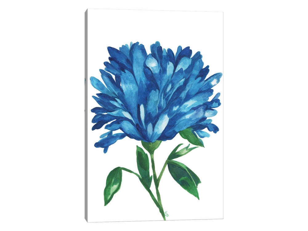 Blue Floral Shiplap 16 x 20 Canvas Wall Art