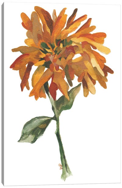 Golden Magnolia Canvas Art Print - Magnolia Art