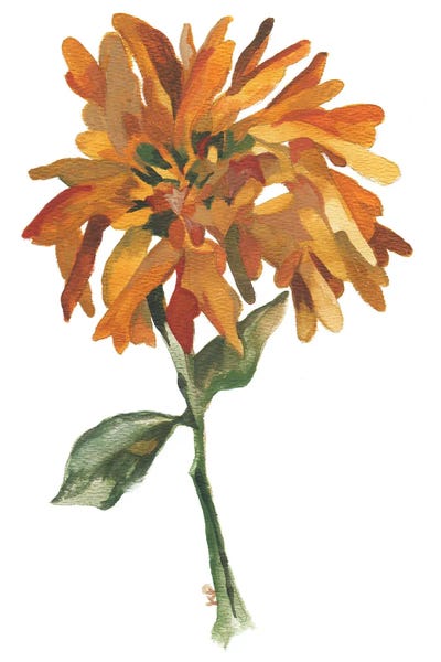 Modern Farmhouse Décor: Golden Magnolia by Kim Parker