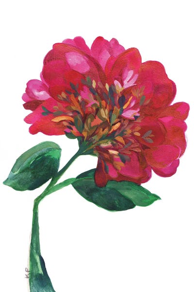 Magnolias: Fuchsia Magnolia by Kim Parker