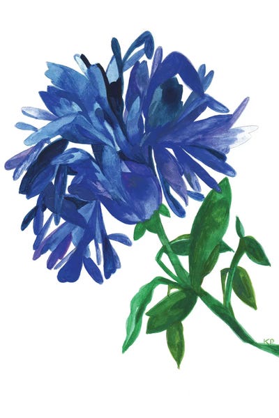 Magnolias: Indigo Magnolia by Kim Parker