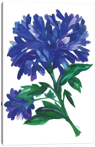 Royal Blue Zinnias Canvas Art Print