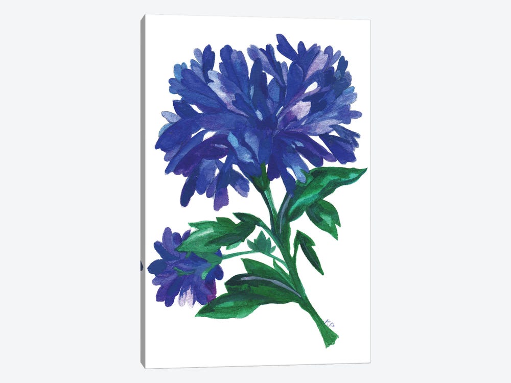 Royal Blue Zinnias by Kim Parker 1-piece Canvas Print