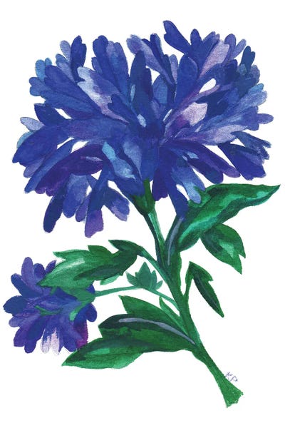 Zinnias: Royal Blue Zinnias by Kim Parker