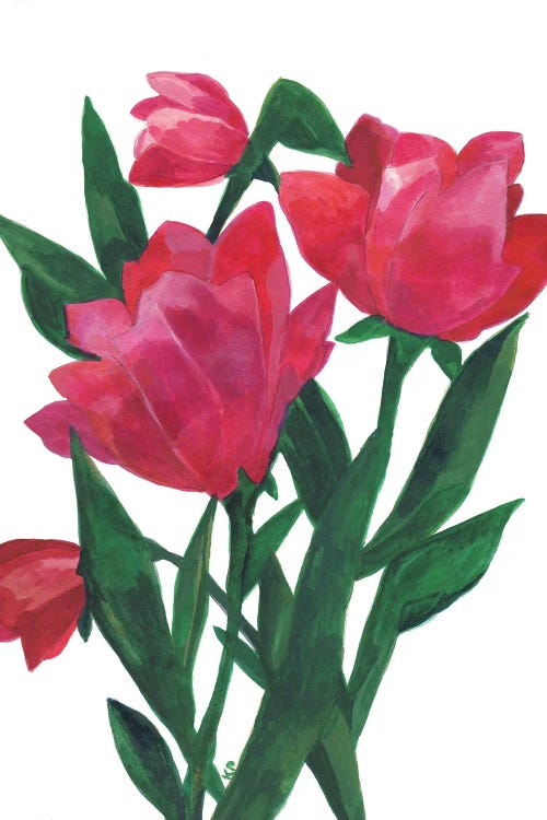 Pink Tulips