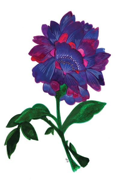 Lotuses: Violet Lotus by Kim Parker