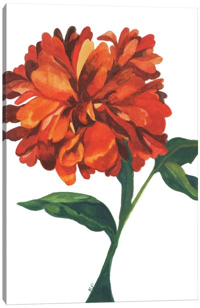 Wild Orange Dahlia Canvas Art Print - Dahlia Art