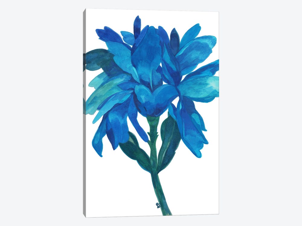Aqua Iris by Kim Parker 1-piece Canvas Art