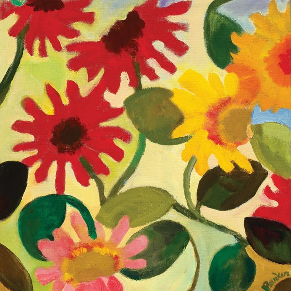 Daisies: Gerber Daisy I by Kim Parker