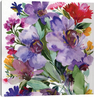 Purple Clematis I Canvas Art Print - Kim Parker