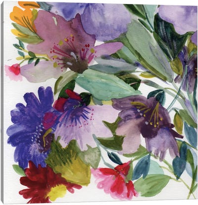 Purple Clematis II Canvas Art Print - Kim Parker