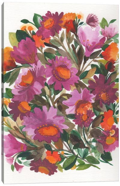 Echinacea Canvas Art Print - Kim Parker