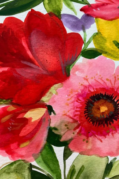 Zinnias: Pink Zinnia And Red Tulip by Kim Parker