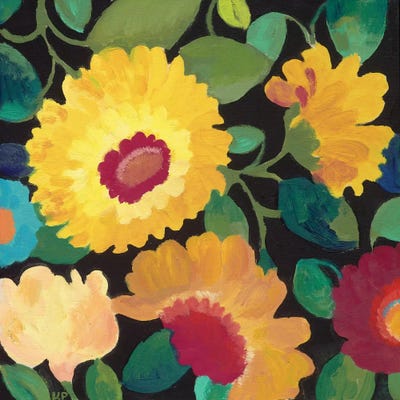 Nocturne II by Kim Parker framed canvas print