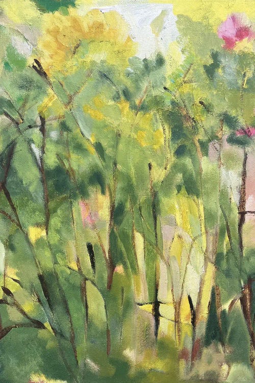 Spring Woods