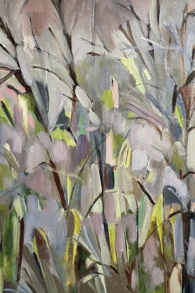 Fine Art Print: Early Spring Woods by Kim Parker