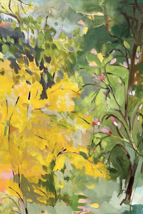 Forsythia And Magnolias by Kim Parker wall art