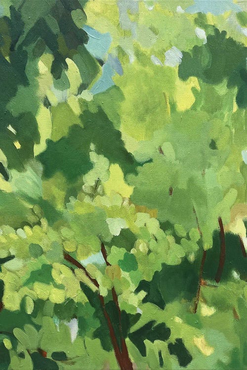 Afternoon Light by Kim Parker wall art