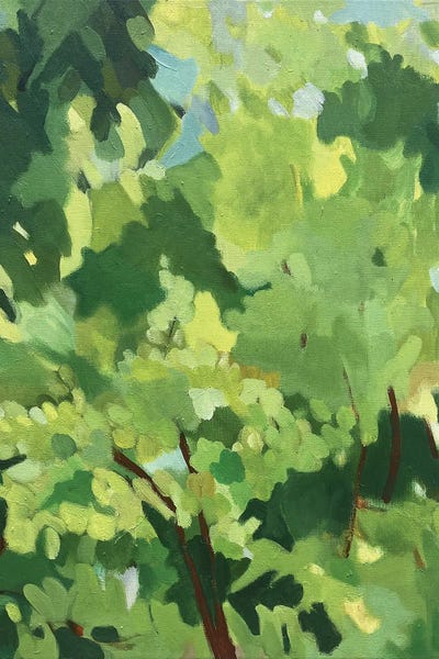 Floral & Botanical Patterns: Afternoon Light by Kim Parker