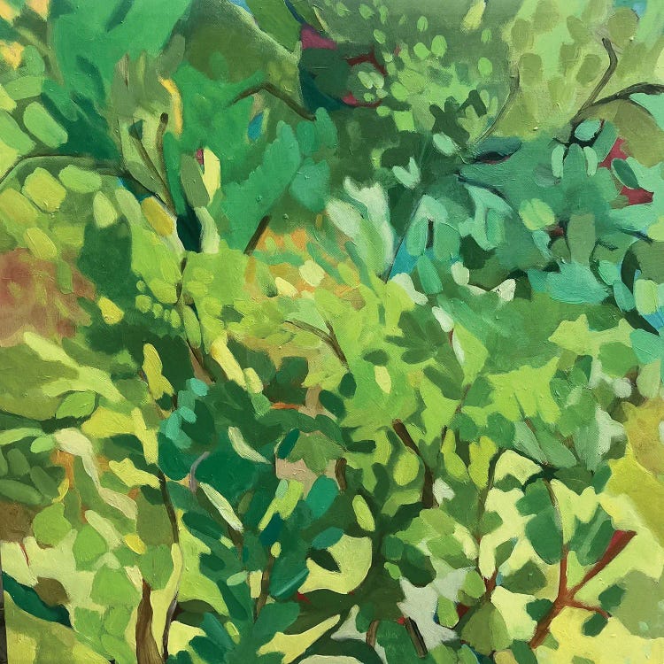 Sunlit Tree Canopy by Kim Parker wall art