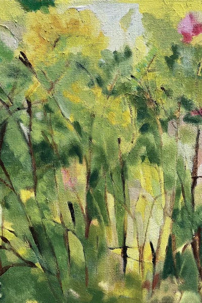 Woods In May