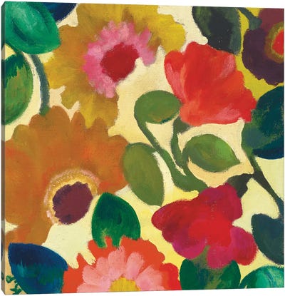Ranunculus I Canvas Art Print - Kim Parker