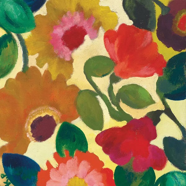 Ranunculi: Ranunculus I by Kim Parker