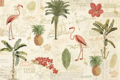 Floridian VI by Katie Pertiet canvas print