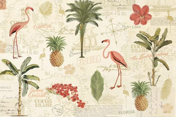 Katie Pertiet: Floridian VI by Katie Pertiet
