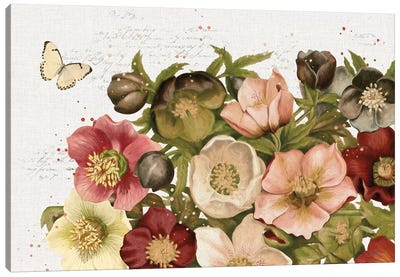 Vintage Petals I Canvas Art Print - Katie Pertiet