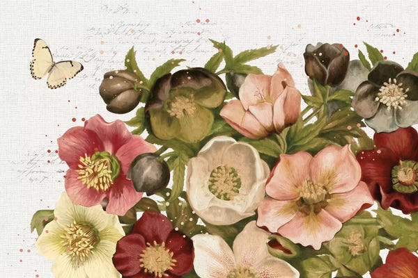 Butterflies and Flowers: Vintage Petals I by Katie Pertiet