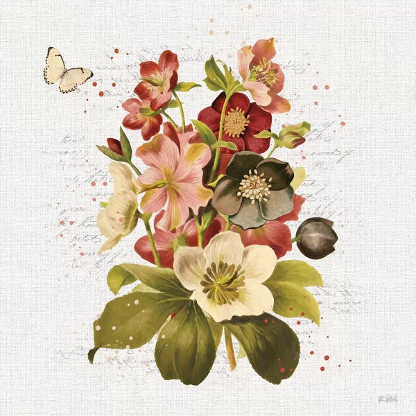 Botanical Illustrations: Vintage Petals VI by Katie Pertiet