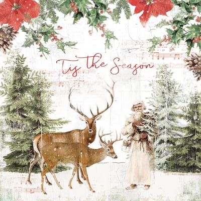 Wooded Holiday II by Katie Pertiet framed wall art